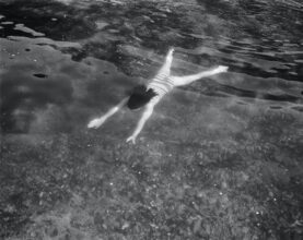 © Pippa Hetherington