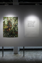 Roelof Bakker: The Spots That Never Went (Exhibition view, Photofusion, London, October 2021)