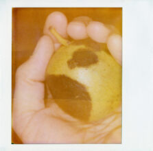 Untitled (The Spots That Never Went) © Roelof Bakker