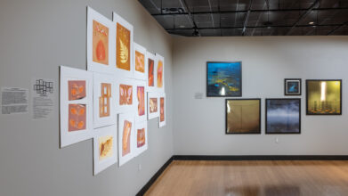 From all Points of the Southern Sky, installation view at SMP (2020)
