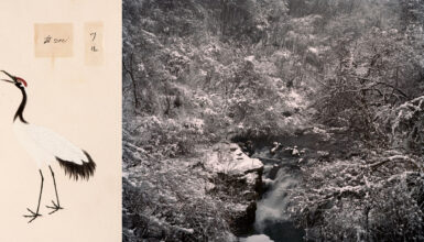 'Tree and Soil' by Robert Knoth & Antoinette de Jong, published by Hartmann Books.
