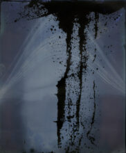 Woods / Star © Maga Esberg