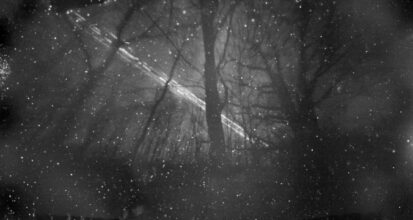 Woods / Star © Maga Esberg
