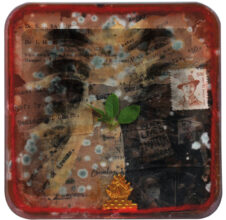 Poulomi Desai, from the commission Our cultures are the portals - the gateways between one world and the next, 2020. Commissioned by Autograph for Care I Contagion I Community — Self & Other