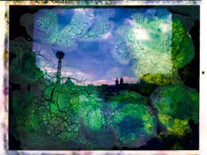 © Nicola Muirhead
