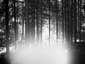 The next era (Nature) 2019, digital painting, print on plexiglas,150x200x4 cm. © Mariella Bettineschi