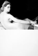The next era (Ingres, Grande odalisca) 2015, digital painting, print on plexiglas, 120x80x2 cm. © Mariella Bettineschi