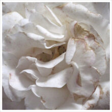 From 'Constelaciones' © Karina Beltrán