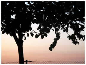 From 'Constelaciones' © Karina Beltrán