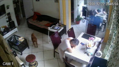 FORMAT21: Control, live surveillance Room 8, screenshot courtesy FORMAT