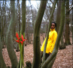 Ingrid Pollard, Self Evident (detail), 1992, 9 colour light boxes and 8 silver gelatin prints © and courtesy of the artist