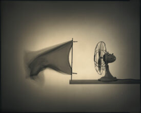 Fan&Flag © Max Kellenberger