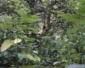 Inside the Orchard © Christopher Down