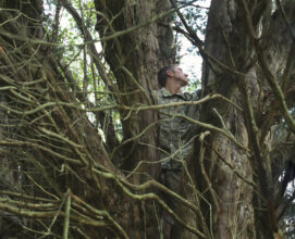 Inside the Yew © Christopher Down