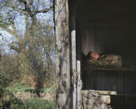 Inside the Shepherd's Living Van © Christopher Down