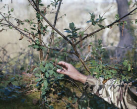 Man is a Part of Nature (part one) © Christopher Down