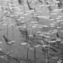 The Ephemeral Hiddenness of Skye © Alison Price