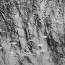 The Ephemeral Hiddenness of Skye © Alison Price
