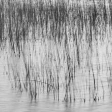 The Ephemeral Hiddenness of Skye © Alison Price