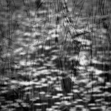 The Ephemeral Hiddenness of Skye © Alison Price