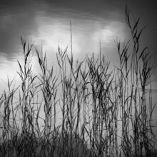 The Ephemeral Hiddenness of Skye © Alison Price
