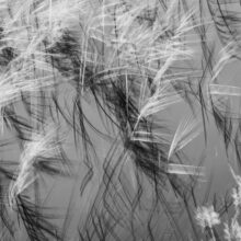 The Ephemeral Hiddenness of Skye © Alison Price