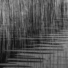 The Ephemeral Hiddenness of Skye © Alison Price