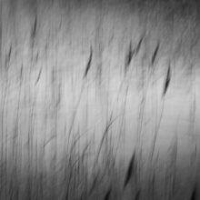 The Ephemeral Hiddenness of Skye © Alison Price