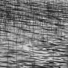 The Ephemeral Hiddenness of Skye © Alison Price