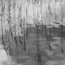 The Ephemeral Hiddenness of Skye © Alison Price