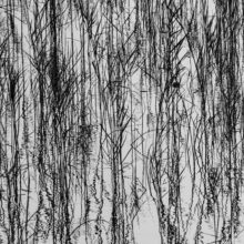 The Ephemeral Hiddenness of Skye © Alison Price
