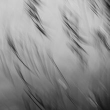 The Ephemeral Hiddenness of Skye © Alison Price