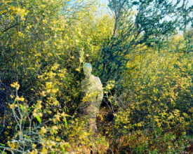 You said hello, and I was Yellow, 2020, Chromogenic Print © Wen-Hang Lin
