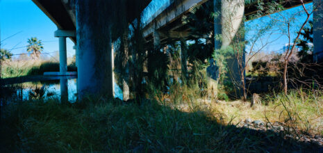 A solitary wanderer guided by the winds, 2021, Chromogenic Print © Wen-Hang Lin