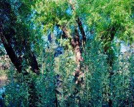 Where the rivers sing sweet, 2020, Chromogenic Print © Wen-Hang Lin