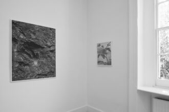 Ripples in the Surface of Things: Recent Works on Nature by Sam Laughlin (Serchia Gallery, Bristol)
