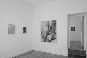 Ripples in the Surface of Things: Recent Works on Nature by Sam Laughlin (Serchia Gallery, Bristol)