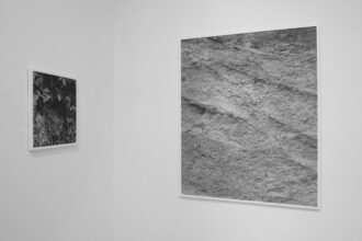 Ripples in the Surface of Things: Recent Works on Nature by Sam Laughlin (Serchia Gallery, Bristol)