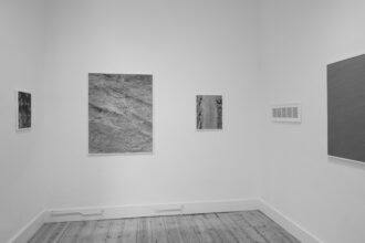 Ripples in the Surface of Things: Recent Works on Nature by Sam Laughlin (Serchia Gallery, Bristol)