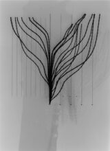 © Rita Rodner