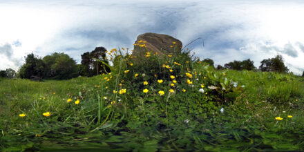 Balgay Park - Internet of Nature (SG Borda / JK Donnelly)