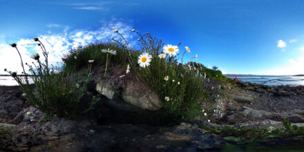 Riverside - Internet of Nature (SG Borda / JK Donnelly)