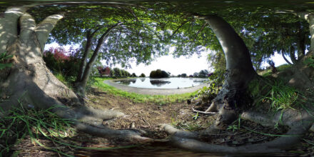 Strobsmuir - Internet of Nature (SG Borda / JK Donnelly)
