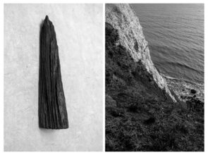 This is How the Earth Must See Itself © Tamsin Green 2021