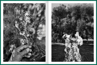 from Fastidiosa ©Jean-Marc Caimi & Valentina Piccinni, courtesy Overlapse