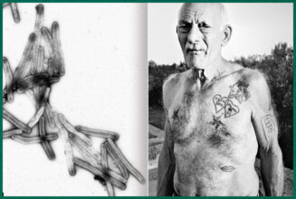 from Fastidiosa ©Jean-Marc Caimi & Valentina Piccinni, courtesy Overlapse