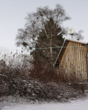 At the Edge of the Village © Dana Mueller