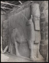 One of the winged lions of Nineveh, just outside Mosul. Heavy rain in April 1941 suddenly exposed the head of this bull on the site of the Northern City Gate 11 August 1944 / Anthony Kersting