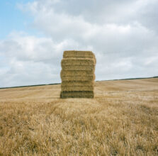 From 'Daughters of the Soil' © Joanne Coates