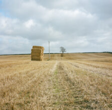 From 'Daughters of the Soil' © Joanne Coates
